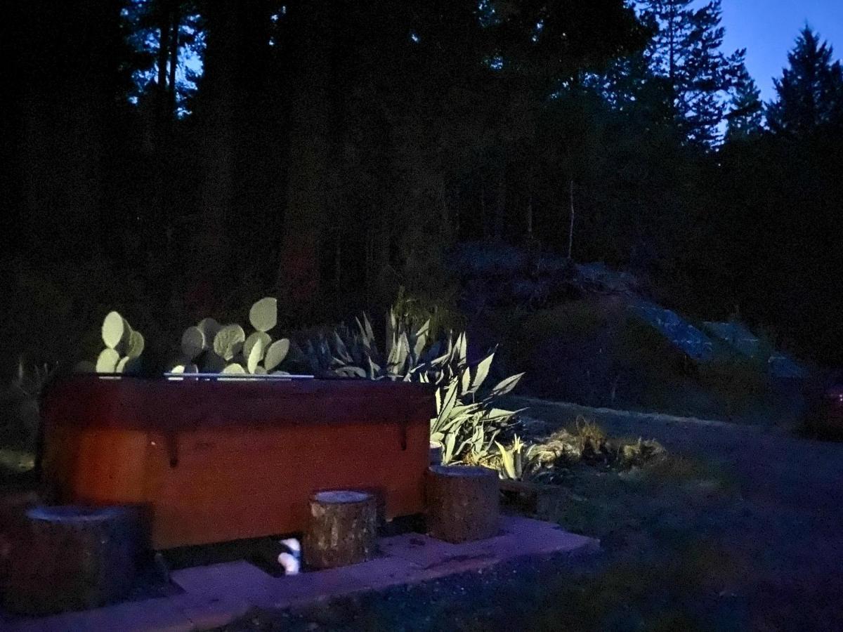 Glamping In The Redwoods With A Hot Tub! Hotell Garberville Eksteriør bilde